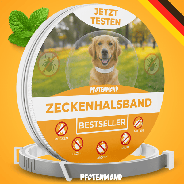 Zeckenhalsband | Schlussverkauf
