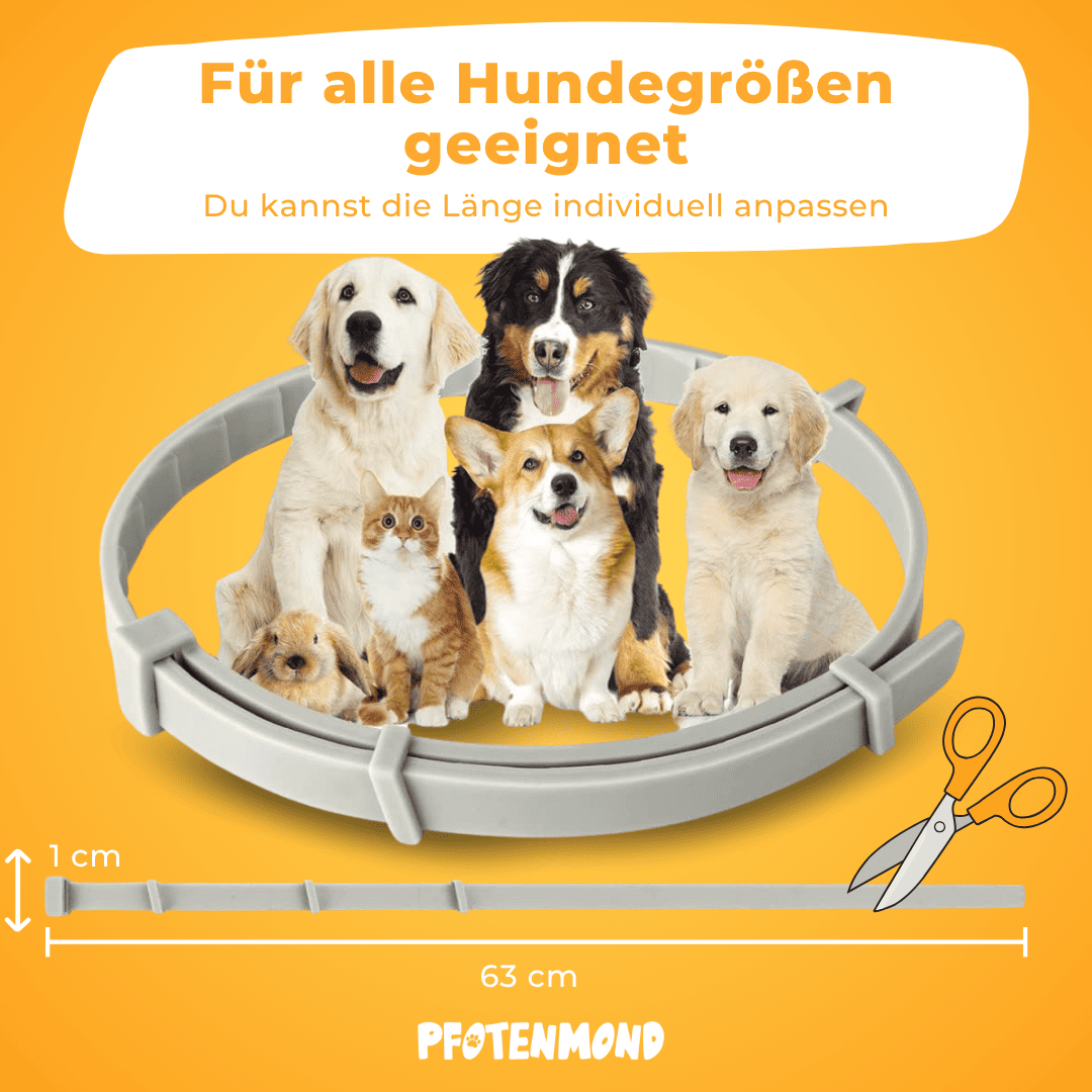 Zeckenhalsband | Schlussverkauf