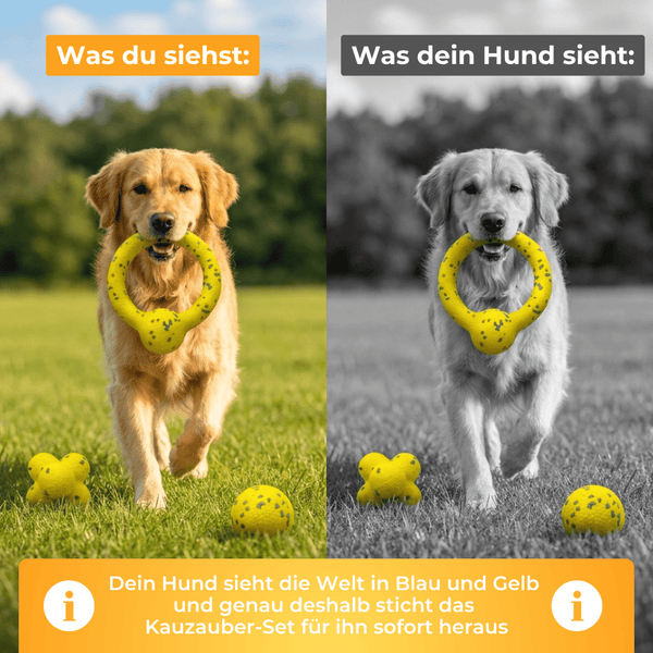Kauzauber 3er-Set