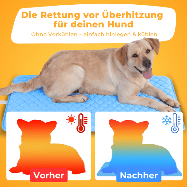 PfotenFrost - Der Bestseller