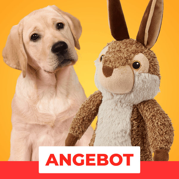 Max-Bunny - 25% Rabatt 🎁