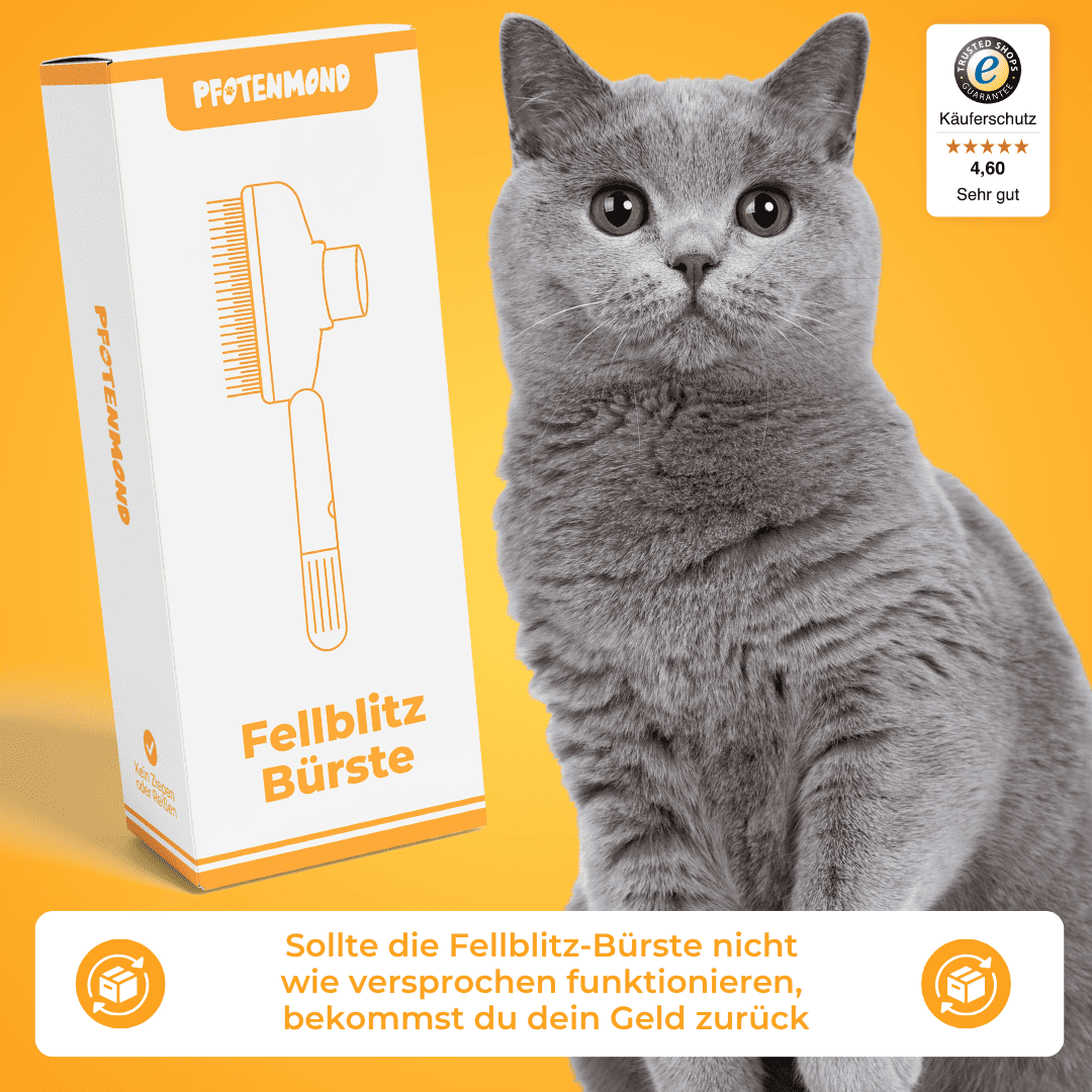 Fellblitz-Bürste - Der Bestseller