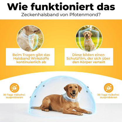 Zeckenhalsband | Schlussverkauf