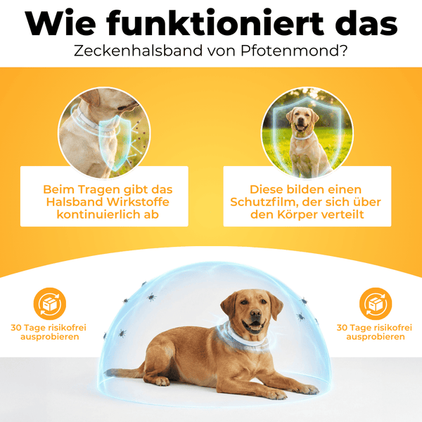 Zeckenhalsband | Schlussverkauf