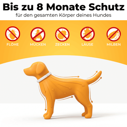 Zeckenhalsband | Schlussverkauf