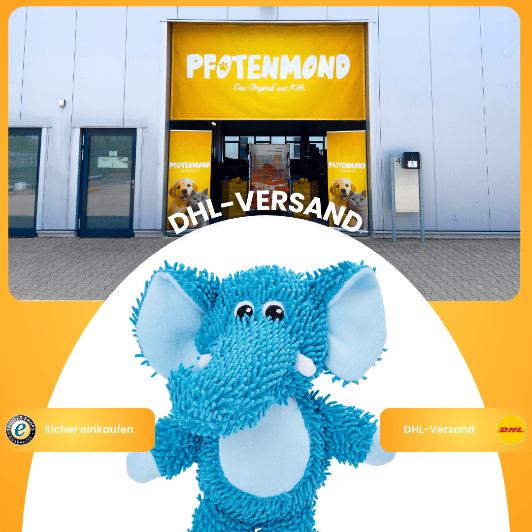 Tröti der Elefant