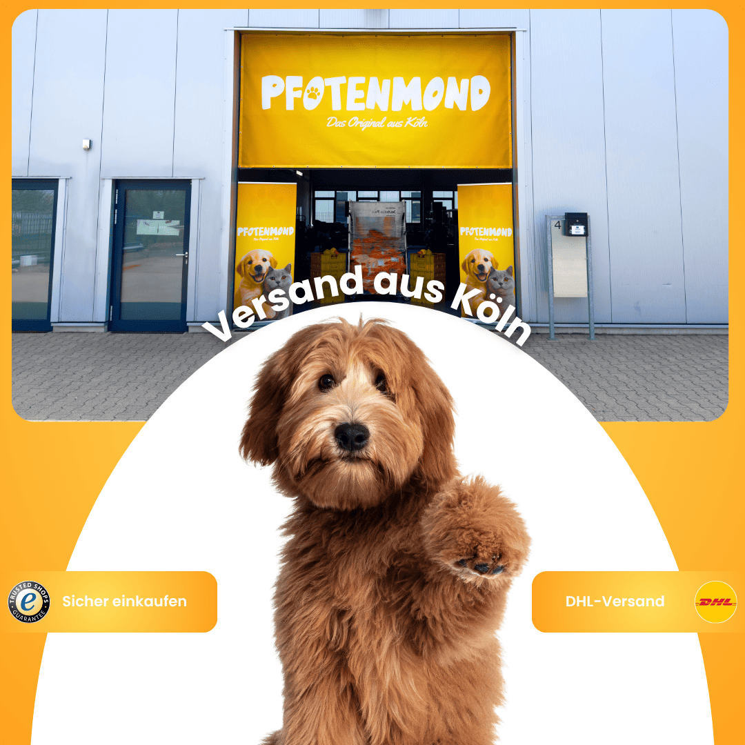 Hundespieleset 7x Stück