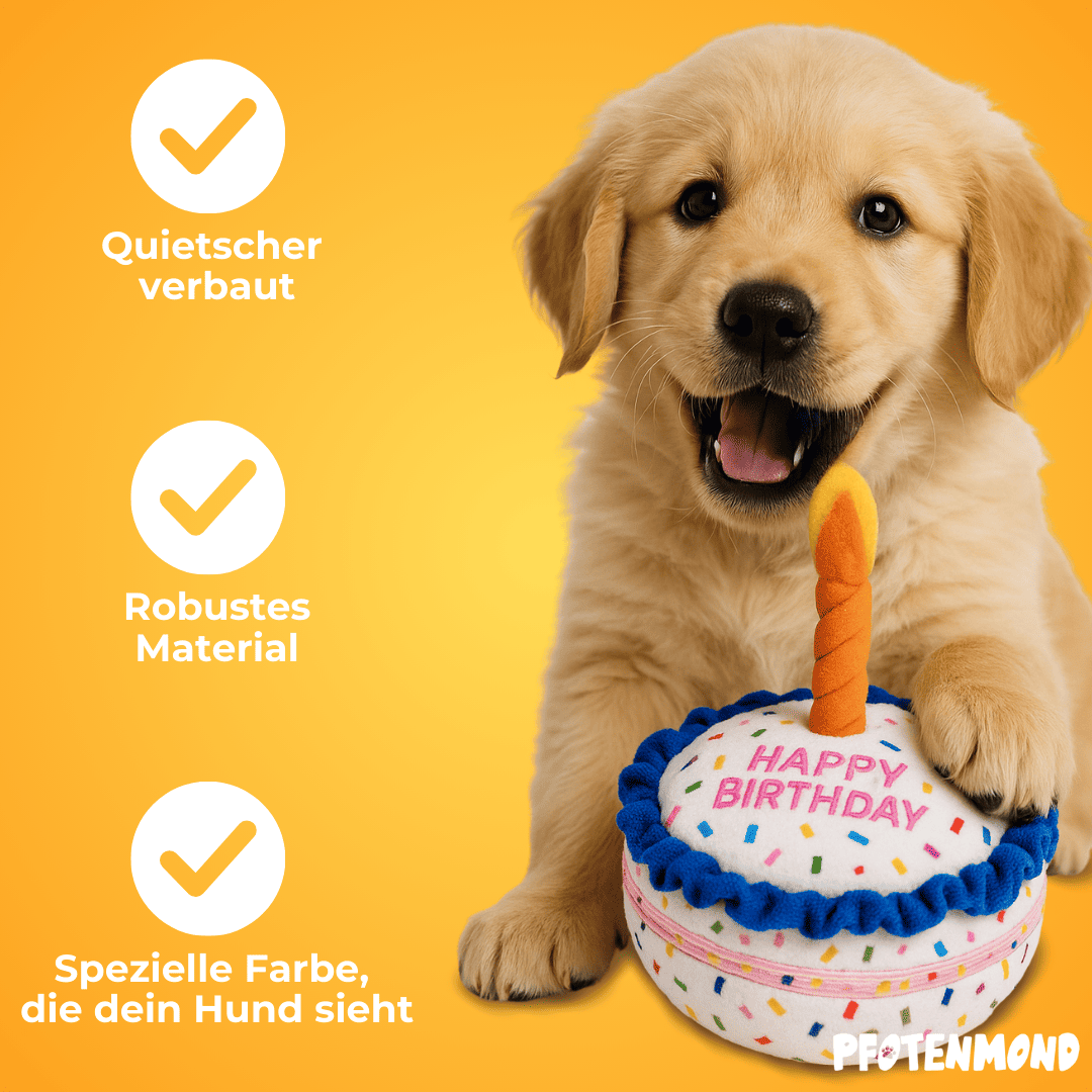 Geburtstagskuchen – Das beste Geschenk