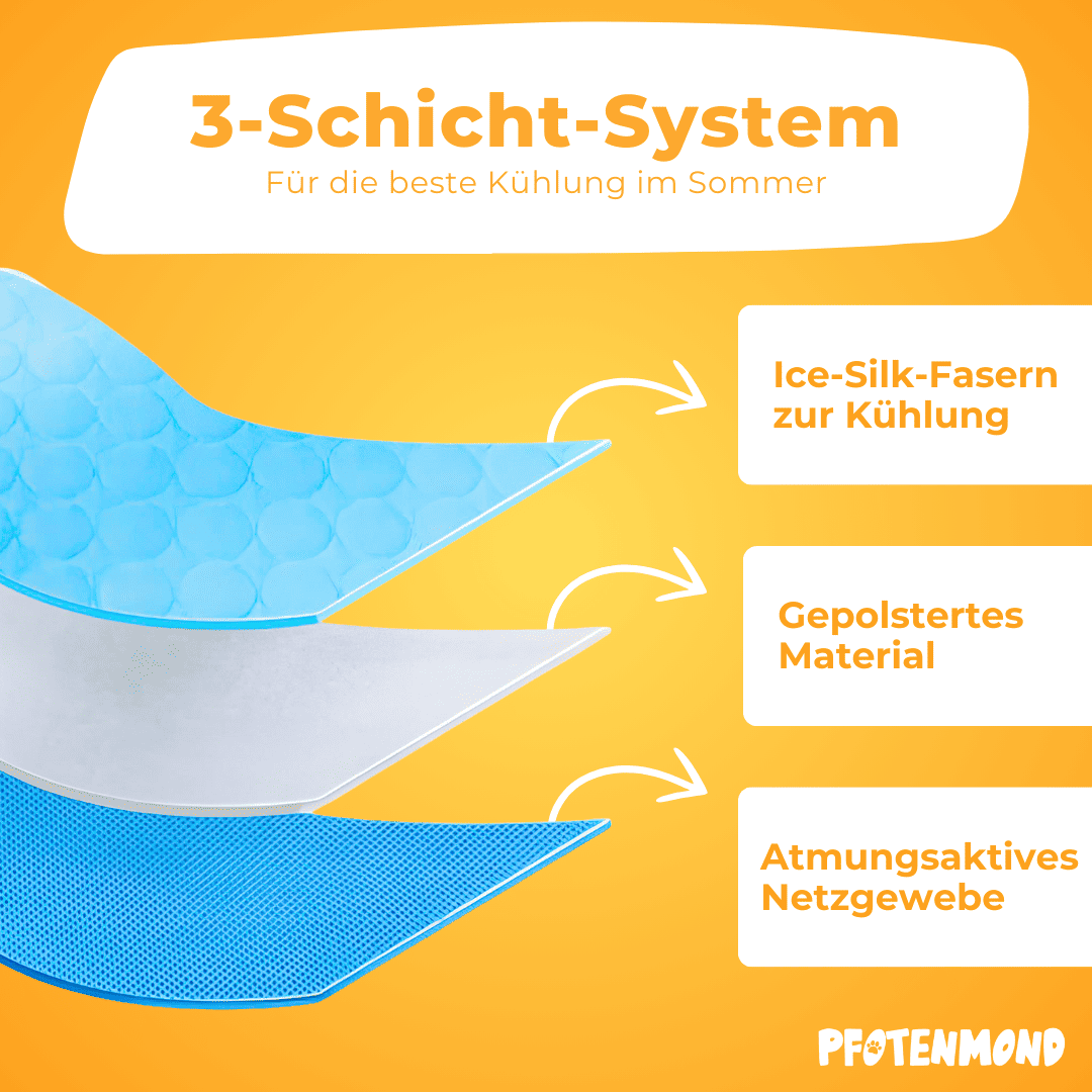 PfotenFrost - Der Bestseller