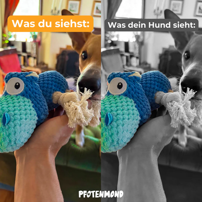 Anti-Stress-Hippo