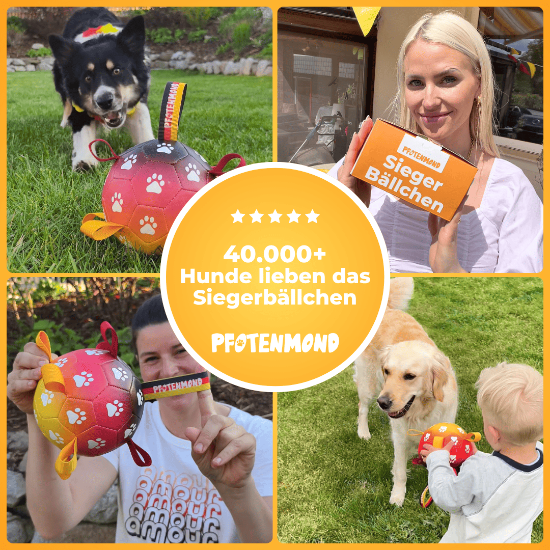 Siegerbällchen - Der Bestseller
