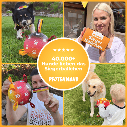 Siegerbällchen - Der Bestseller