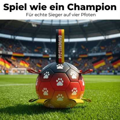 Siegerbällchen - Der Bestseller