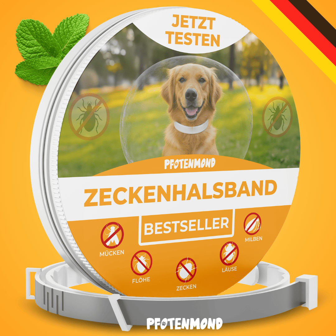 Zeckenhalsband | Schlussverkauf