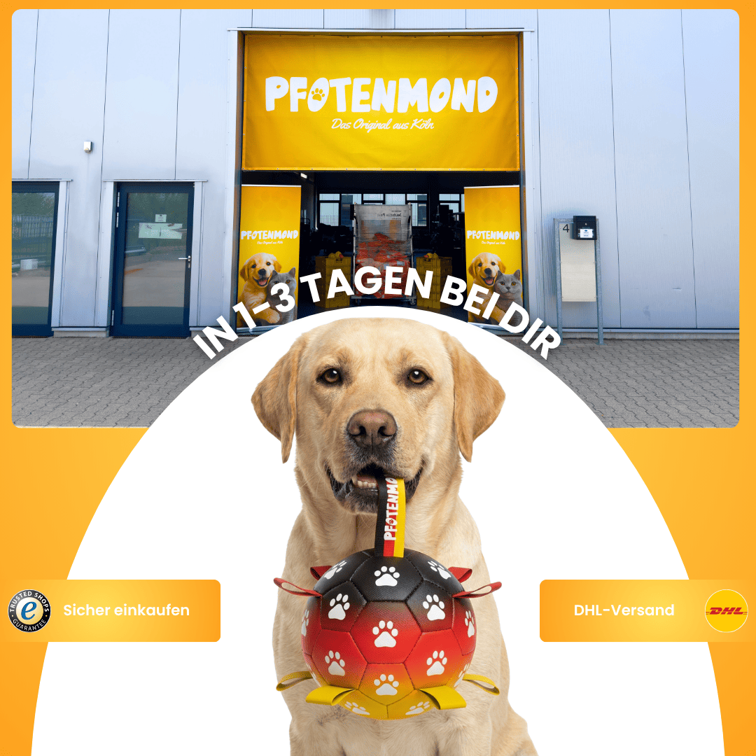 Siegerbällchen - Der Bestseller