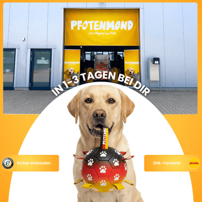 Siegerbällchen - Der Bestseller