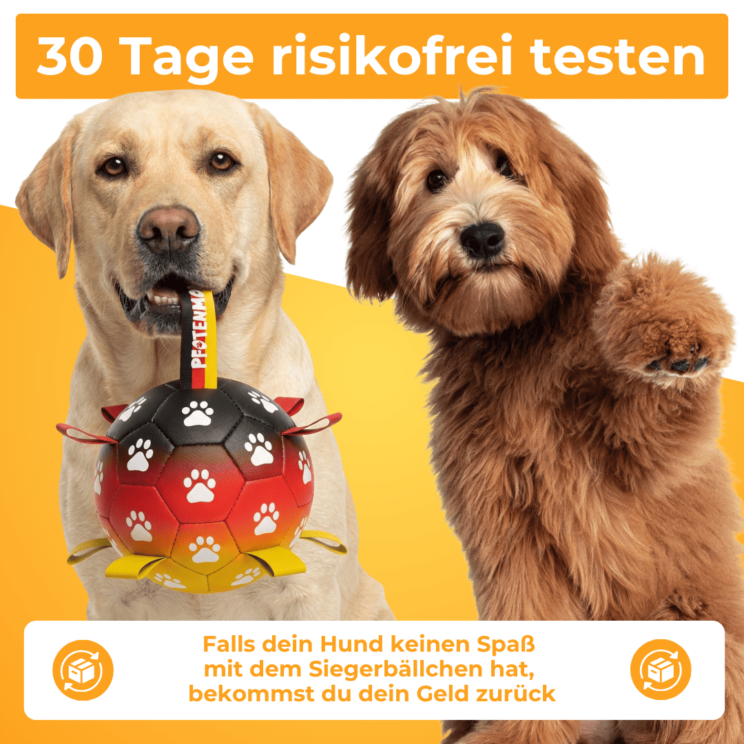 Siegerbällchen - Der Bestseller
