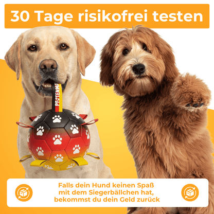 Siegerbällchen - Der Bestseller