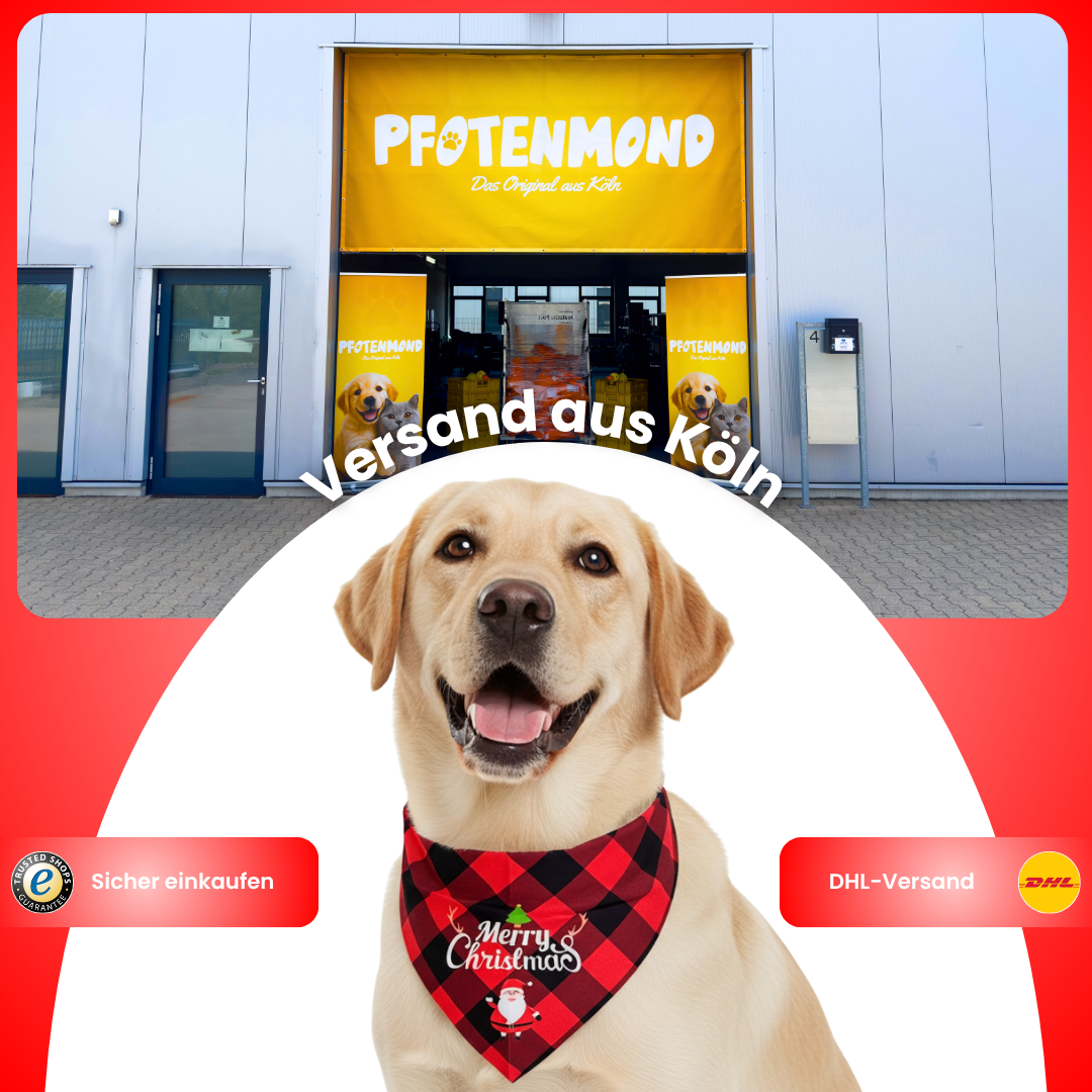 Weihnachts-Bandana