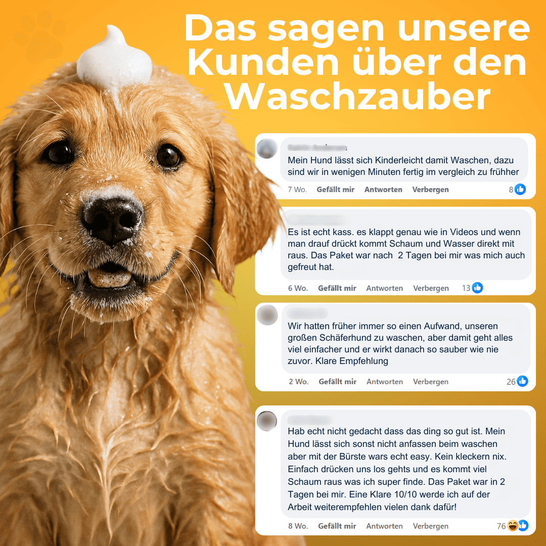 Waschzauber