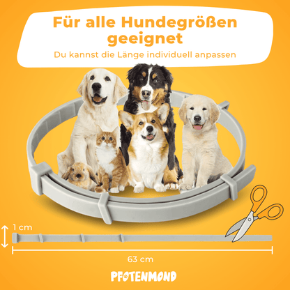 Zeckenhalsband | Schlussverkauf