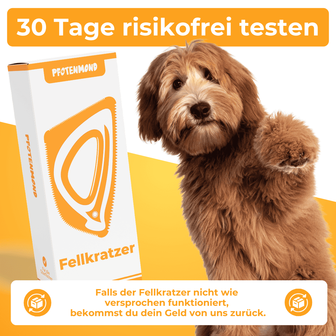 Fellkratzer - Der Bestseller