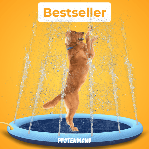 PfotenSplash - Der Bestseller