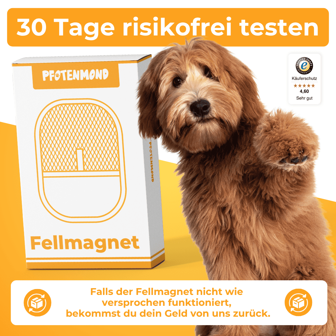Fellmagnet - Der Bestseller