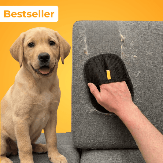 Fellmagnet - Der Bestseller
