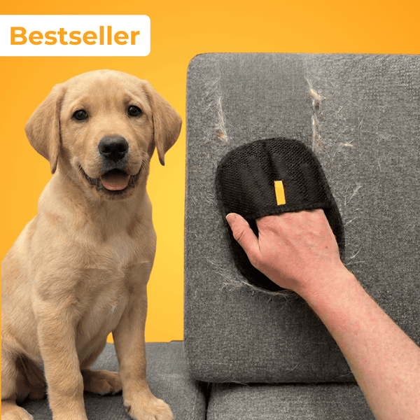 Fellmagnet - Der Bestseller