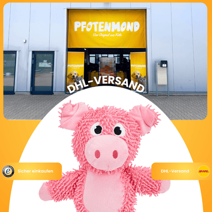 Franzi das Schweinchen