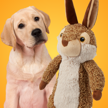 Max-Bunny -  25% Rabatt 🎁
