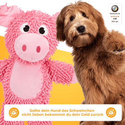 Franzi das Schweinchen