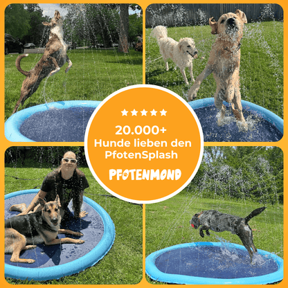 PfotenSplash - Der Bestseller