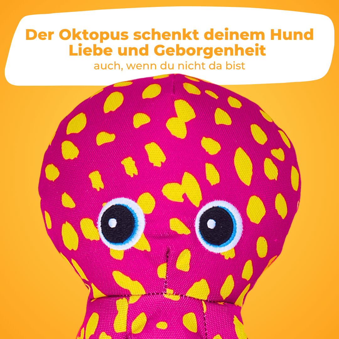 Knisteroktopus