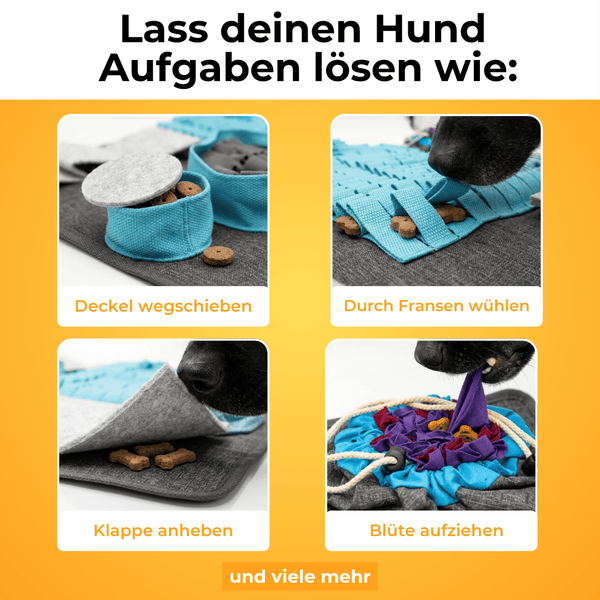 Schnüffelmatte