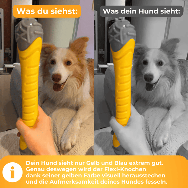 Flexi-Knochen