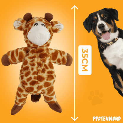 Giraffe-Georg