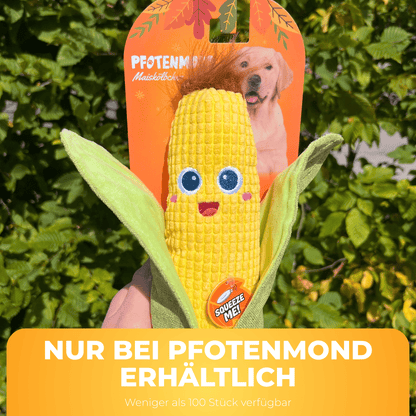 Maiskölbchen