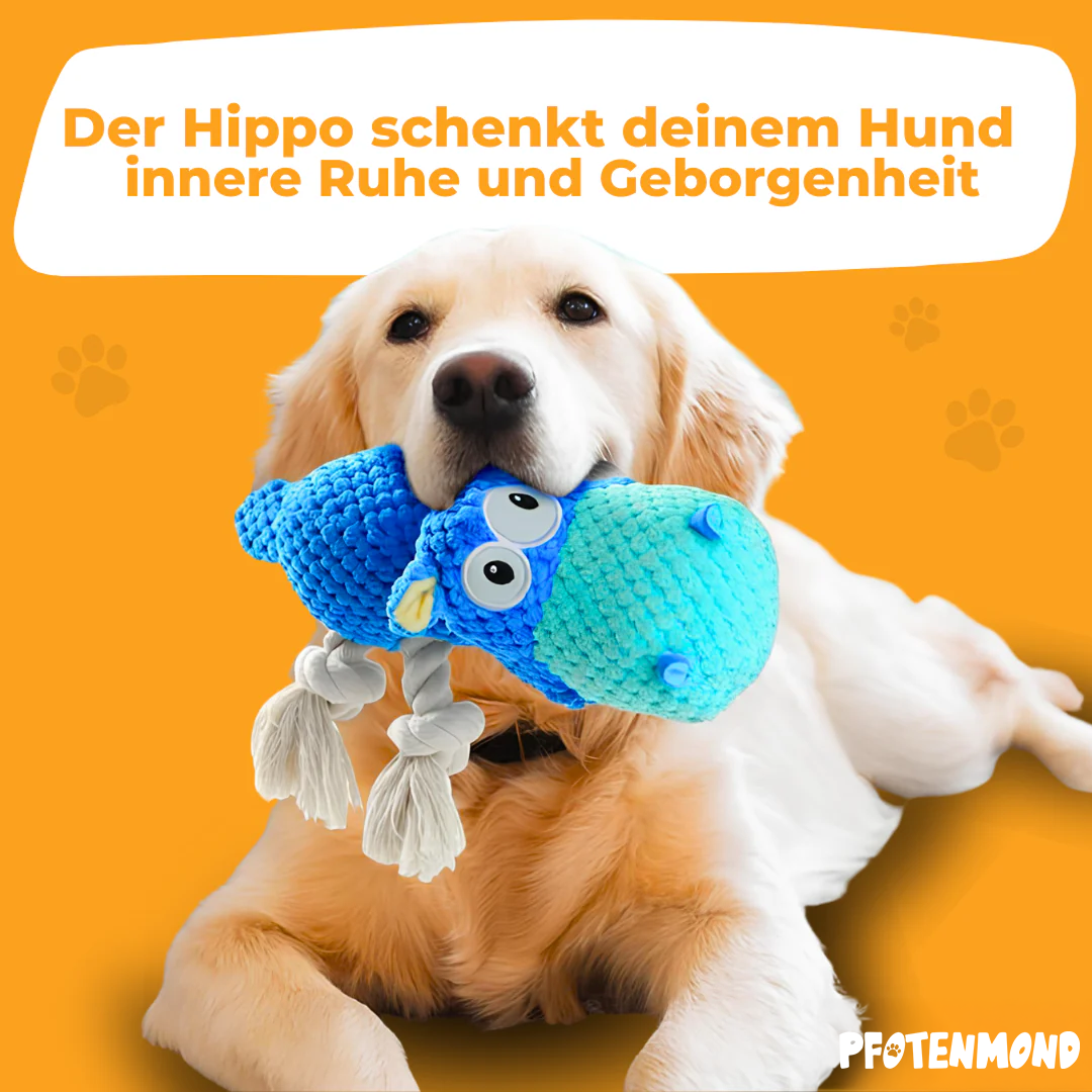 Anti-Stress-Hippo