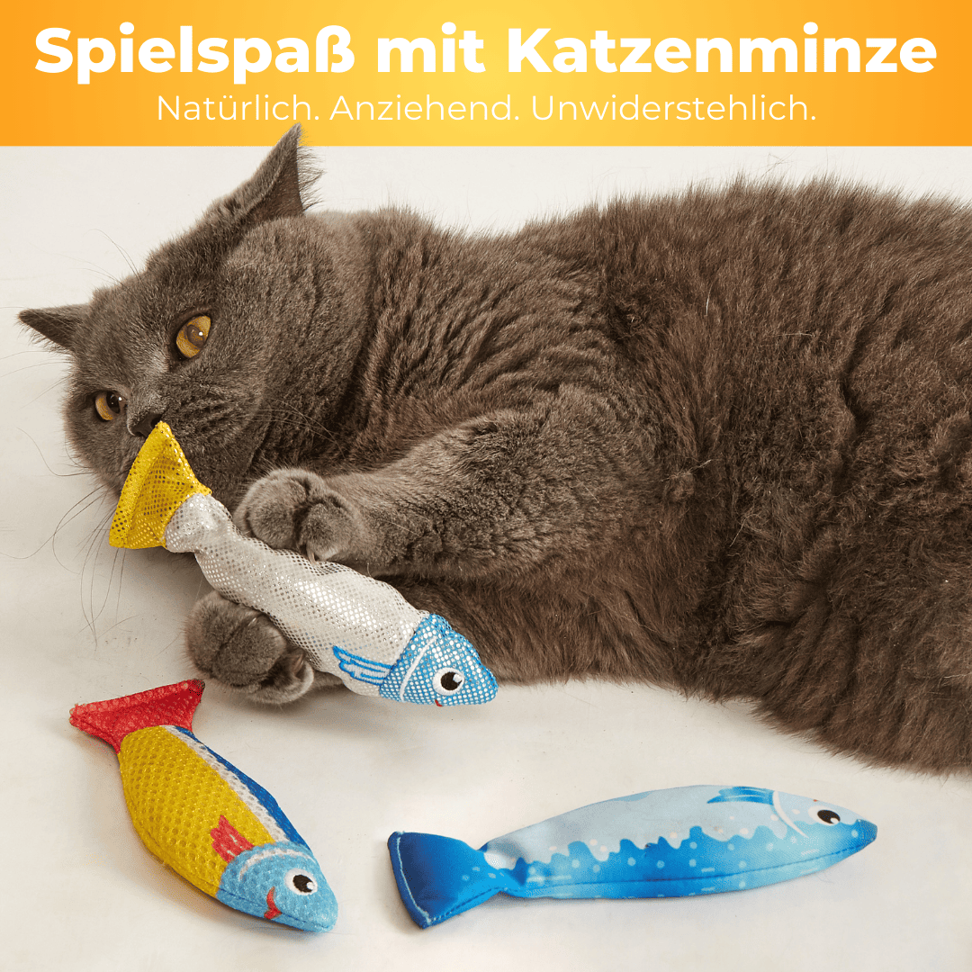 Minzefischis (3 Stück)