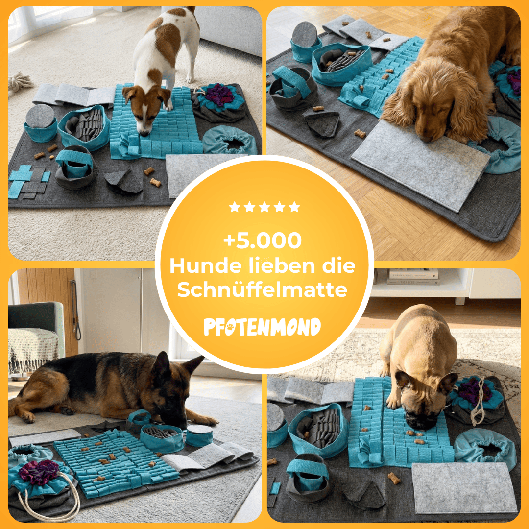 Schnüffelmatte