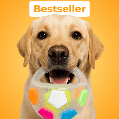 Anti-Stress-Ball - Der Bestseller