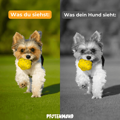 Kauzauber-Ball