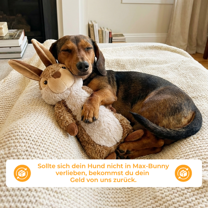 Max-Bunny -  25% Rabatt 🎁