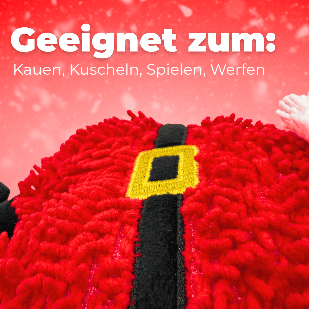 Pfoten-Santa