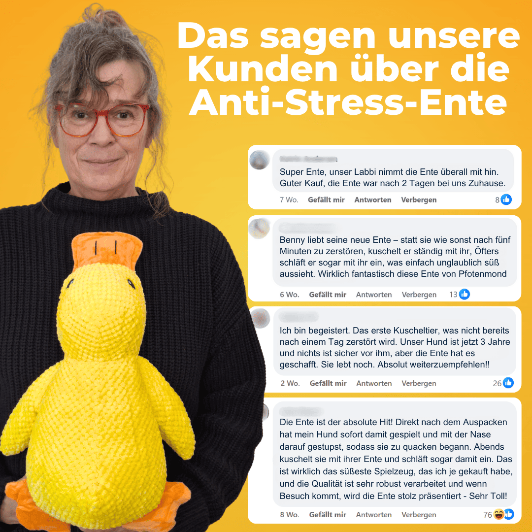 Anti-Stress-Ente - Der Bestseller