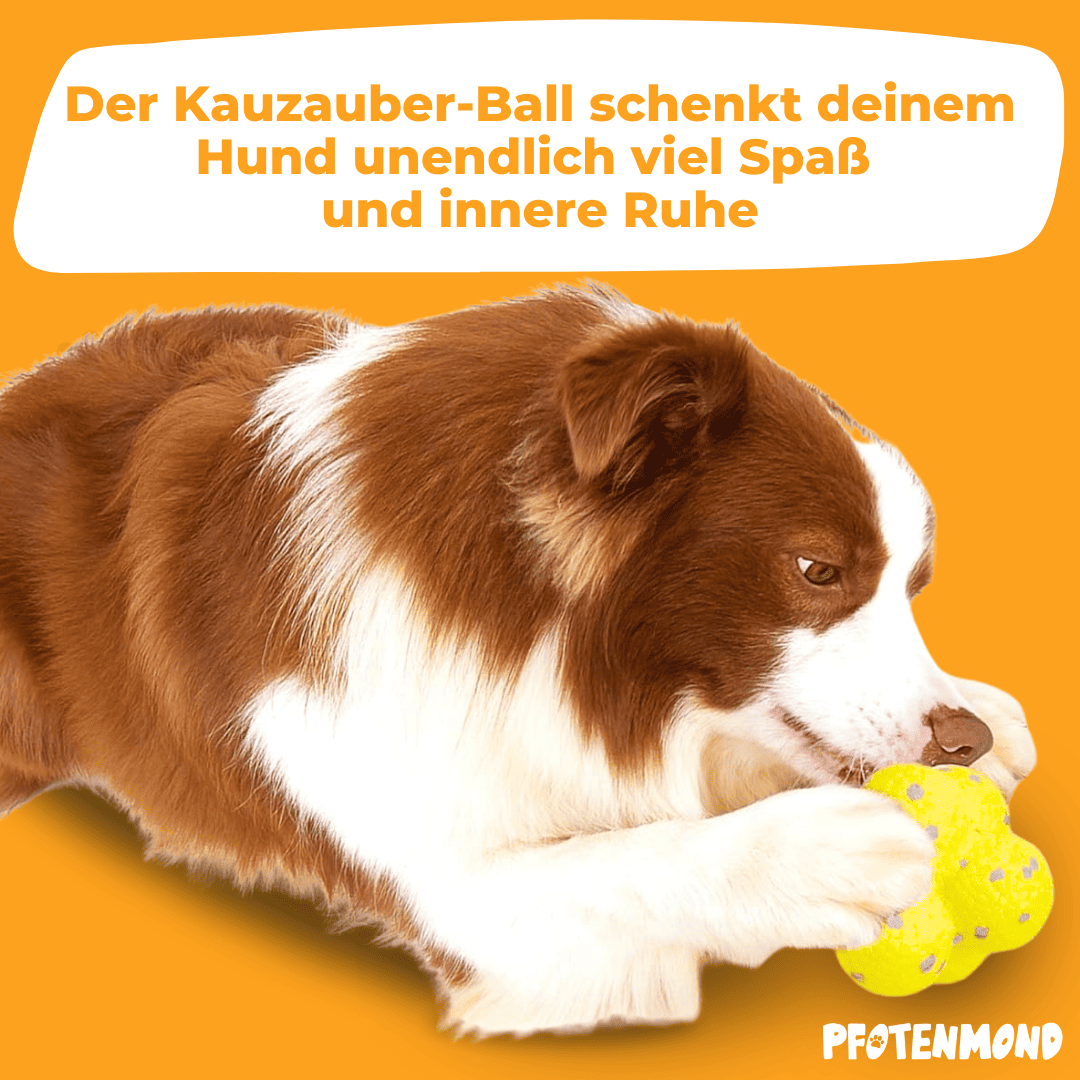 Kauzauber-Ball