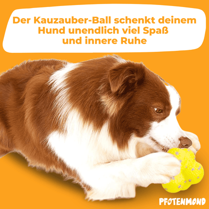 Kauzauber-Ball