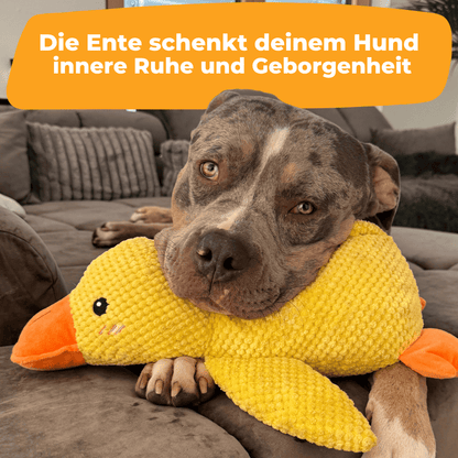 Anti-Stress-Ente - Der Bestseller